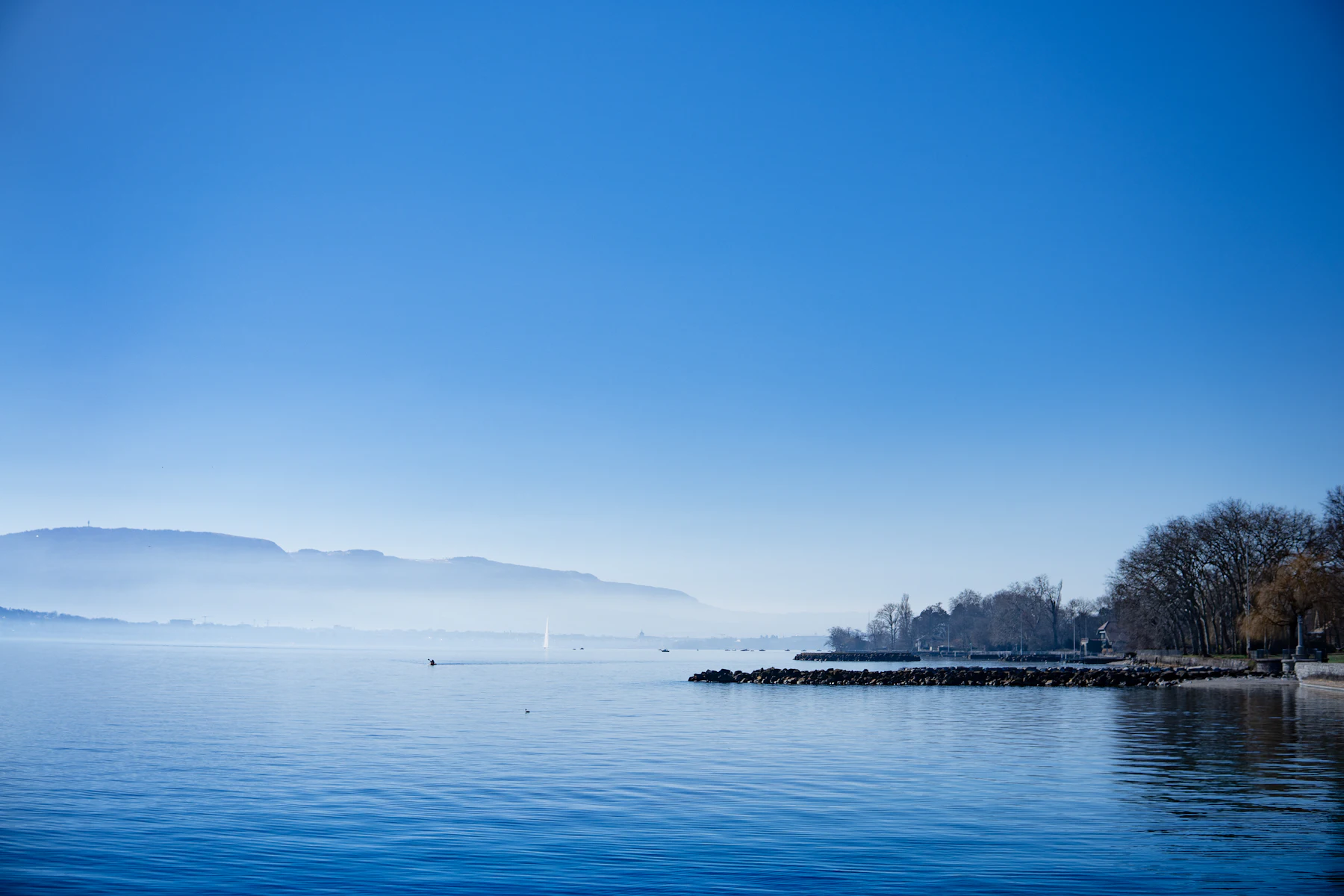 Rive du Léman